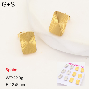 2E2007553vhmv-436  Stainless Steel Earrings