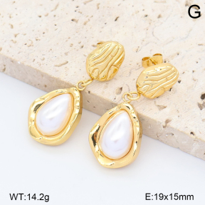2E3004321vbnl-452  Stainless Steel Earrings