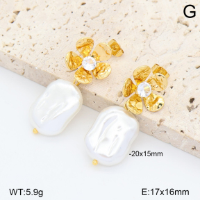 2E3004322bbov-452  Stainless Steel Earrings