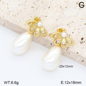 2E3004323vbpb-452  Stainless Steel Earrings