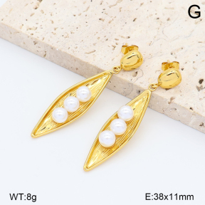 2E3004324abol-452  Stainless Steel Earrings