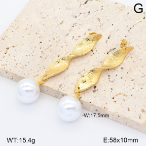 2E3004326vbpb-452  Stainless Steel Earrings