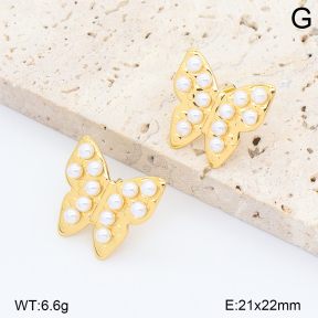 2E3004327abol-452  Stainless Steel Earrings