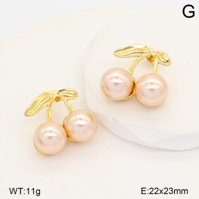 2E3004328vbpb-452  Stainless Steel Earrings