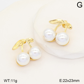 2E3004329vbpb-452  Stainless Steel Earrings