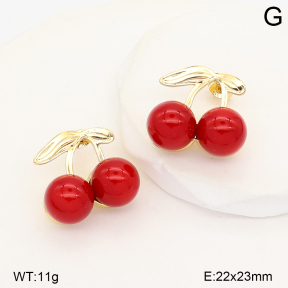 2E3004330vbpb-452  Stainless Steel Earrings