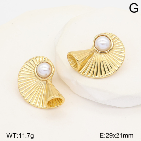 2E3004331abol-452  Stainless Steel Earrings