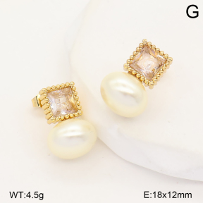 2E3004332abol-452  Stainless Steel Earrings