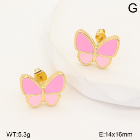2E3004333vbll-452  Stainless Steel Earrings