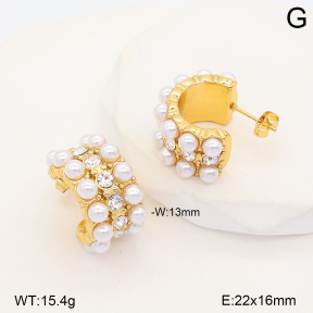 2E3004334bhia-452  Stainless Steel Earrings