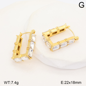 2E4005625bhva-452  Stainless Steel Earrings