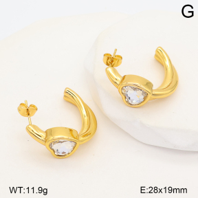 2E4005626vbpb-452  Stainless Steel Earrings
