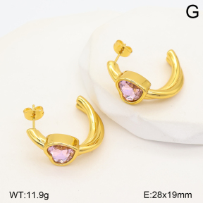 2E4005627vbpb-452  Stainless Steel Earrings