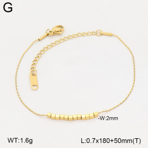 2B2006396vbmb-662  Stainless Steel Bracelet