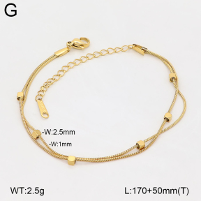 2B2006399vbnb-662  Stainless Steel Bracelet