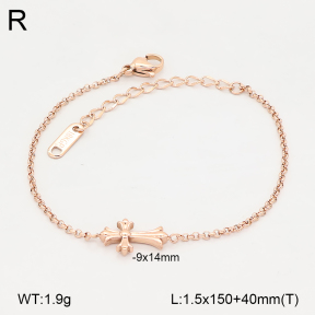 2B2006416vbpb-636  Stainless Steel Bracelet