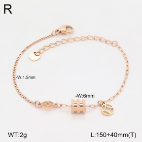 2B2006419bhva-636  Stainless Steel Bracelet