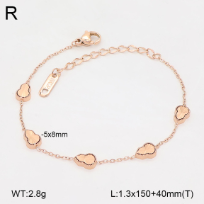 2B2006422vhnv-636  Stainless Steel Bracelet