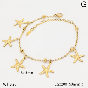 2B2006428vbnb-235  Stainless Steel Bracelet