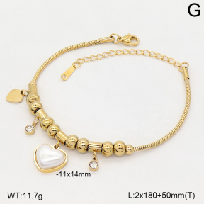 2B3004806vbnl-235  Stainless Steel Bracelet