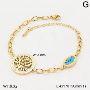 2B4006497vbnl-235  Stainless Steel Bracelet