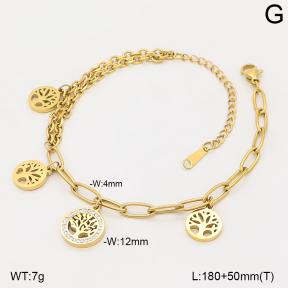 2B4006498bbml-235  Stainless Steel Bracelet