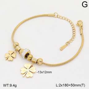2B4006508vbnl-235  Stainless Steel Bracelet