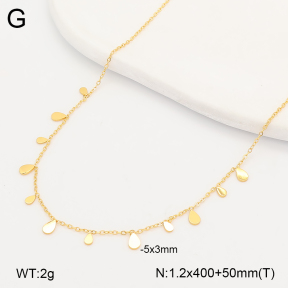 2N2009864bhia-636  Stainless Steel Necklace