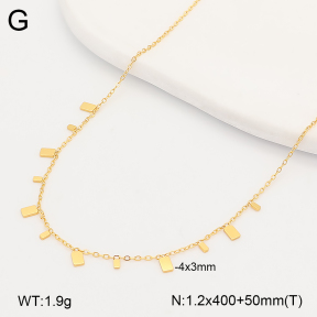 2N2009867bhia-636  Stainless Steel Necklace
