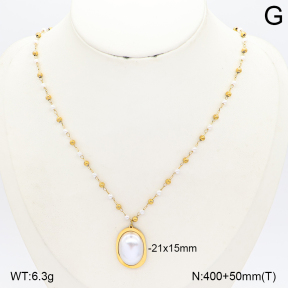 2N3003768vbnl-235  Stainless Steel Necklace