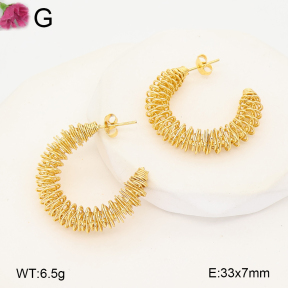 F2E202689aajl-J207  Fashion Earrings