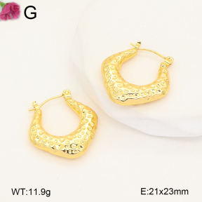 F2E202691vail-J207  Fashion Earrings