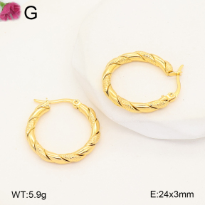 F2E202693aajl-J207  Fashion Earrings