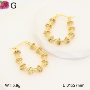 F2E202700aajl-J207  Fashion Earrings