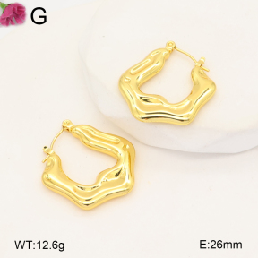 F2E202702vail-J207  Fashion Earrings