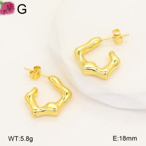 F2E202703vail-J207  Fashion Earrings