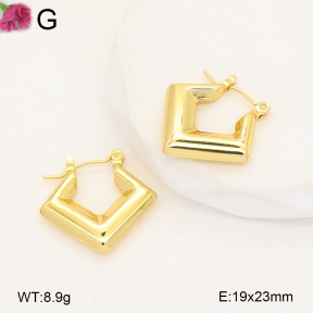 F2E202704vail-J207  Fashion Earrings