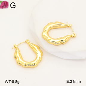F2E202706vail-J207  Fashion Earrings