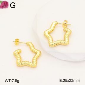 F2E202723vail-J207  Fashion Earrings