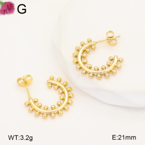 F2E202724vail-J207  Fashion Earrings