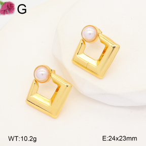 F2E301487avja-J207  Fashion Earrings