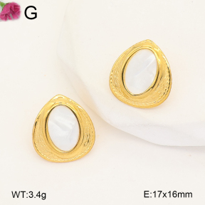 F2E301488avja-J207  Fashion Earrings