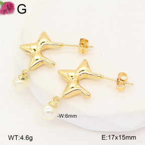 F2E301493aajl-J207  Fashion Earrings