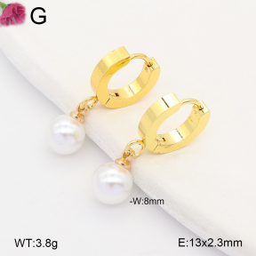 F2E301504avja-J207  Fashion Earrings