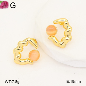 F2E402499avja-J207  Fashion Earrings