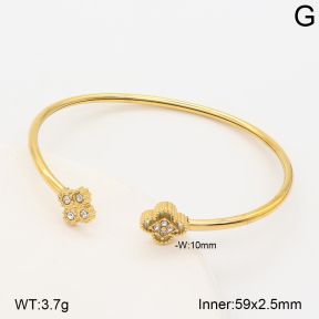 2BA403279vbnl-434  Stainless Steel Bangle