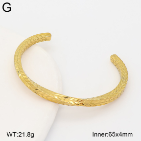 2BA203032bblo-753  Stainless Steel Bangle