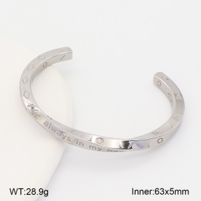 2BA203043bblo-753  Stainless Steel Bangle