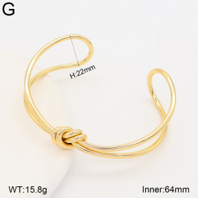 2BA203046vbpb-434  Stainless Steel Bangle